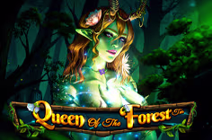 icon game for Queen Of The Forest